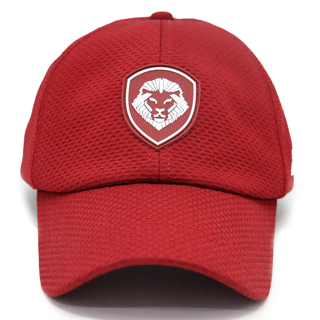 VT Shield Future Looks Bright Burgundy Velcro Performance Hat
