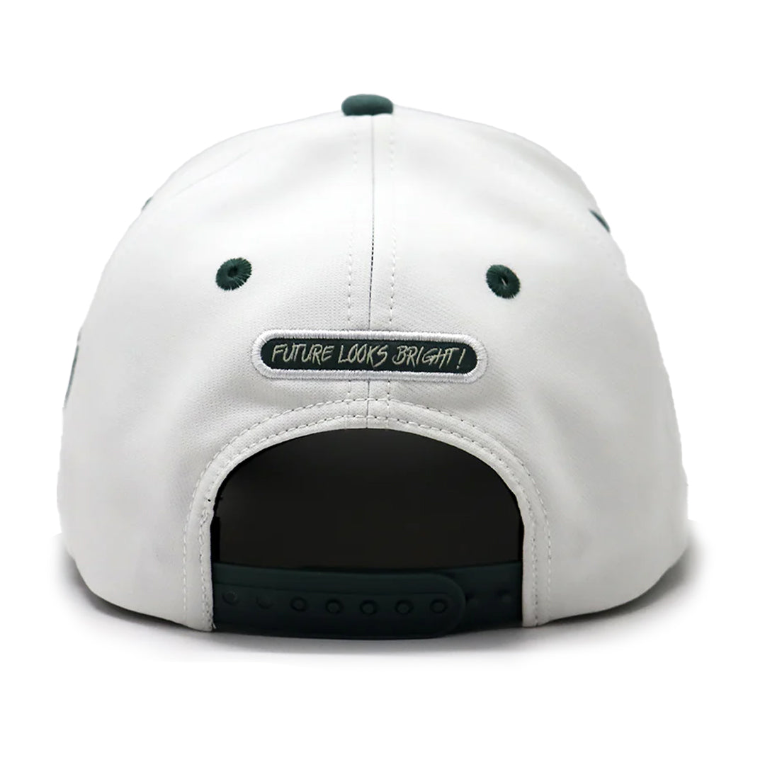 Future Looks Bright USA Soft Sage Dual Tone Snapback Hat