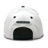Future Looks Bright USA Soft Sage Dual Tone Snapback Hat