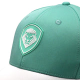 VT Shield Logo Future Looks Bright Mint Snapback Hat