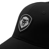 VT Shield Logo Future Looks Bright Black & White Flex Fit Hat