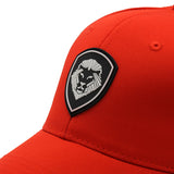 VT Lion Shield Logo Future Looks Bright Red & White Snapback Hat